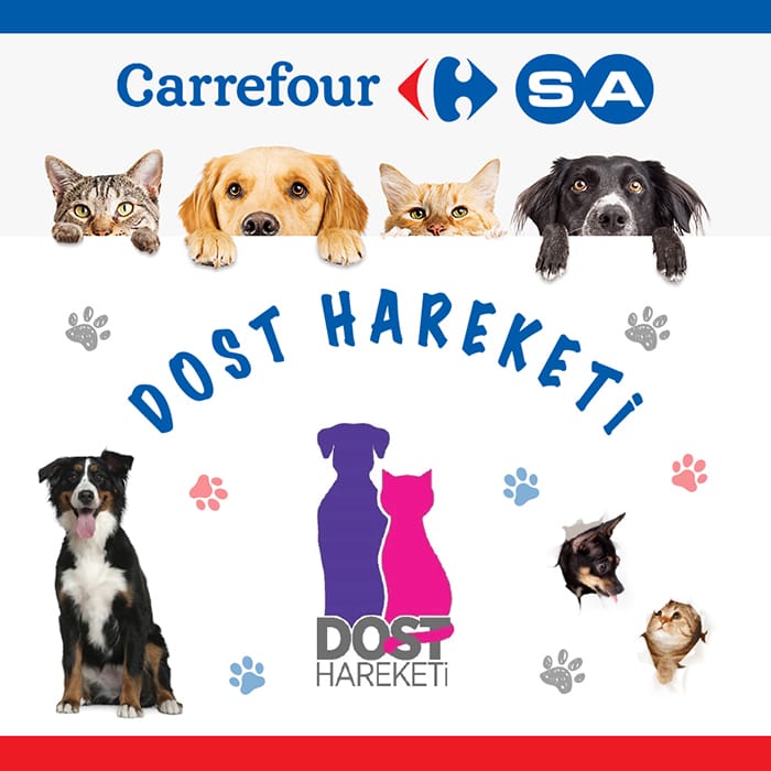 carrefoursa-logo